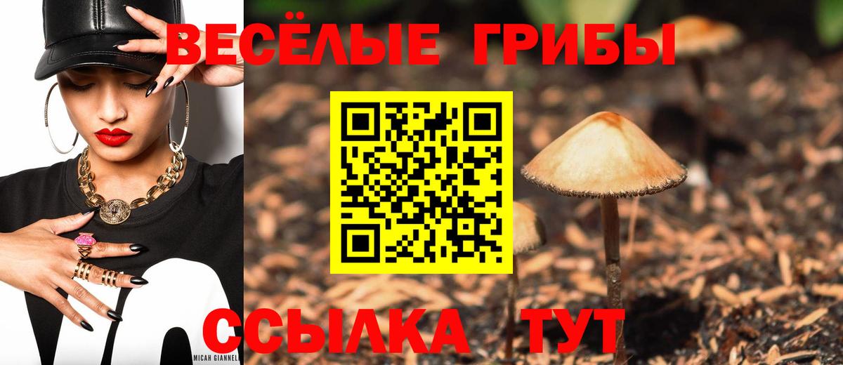 Галлюциногенные грибы Psilocybine cubensis  Вход с VPN  Кудрово  Псилоцибиновые грибы мицелий 