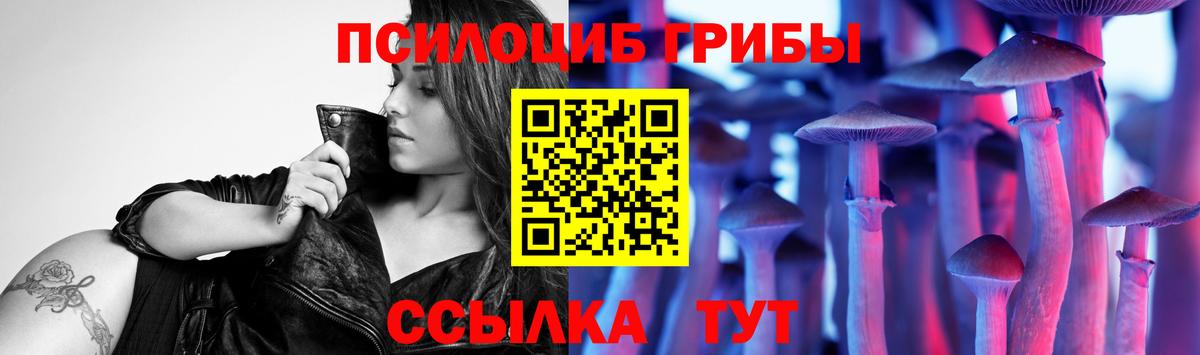 Псилоцибиновые грибы Cubensis Кудрово